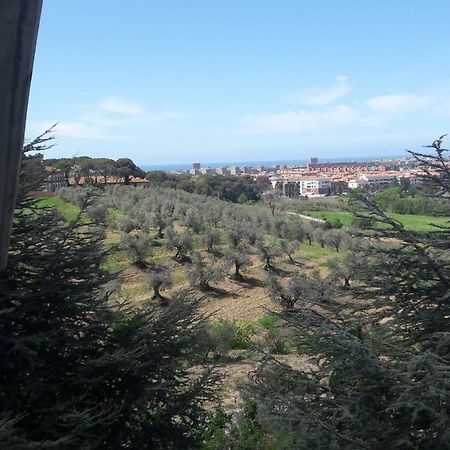 Appartamento Dolci Ricordi Livorno Esterno foto