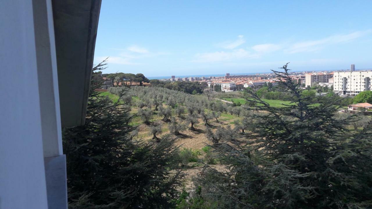 Appartamento Dolci Ricordi Livorno Esterno foto