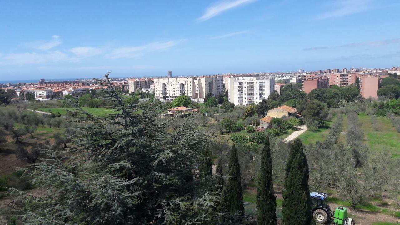 Appartamento Dolci Ricordi Livorno Esterno foto