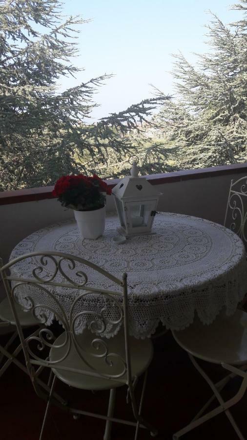 Appartamento Dolci Ricordi Livorno Esterno foto